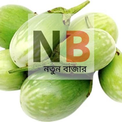 বড় বেগুন